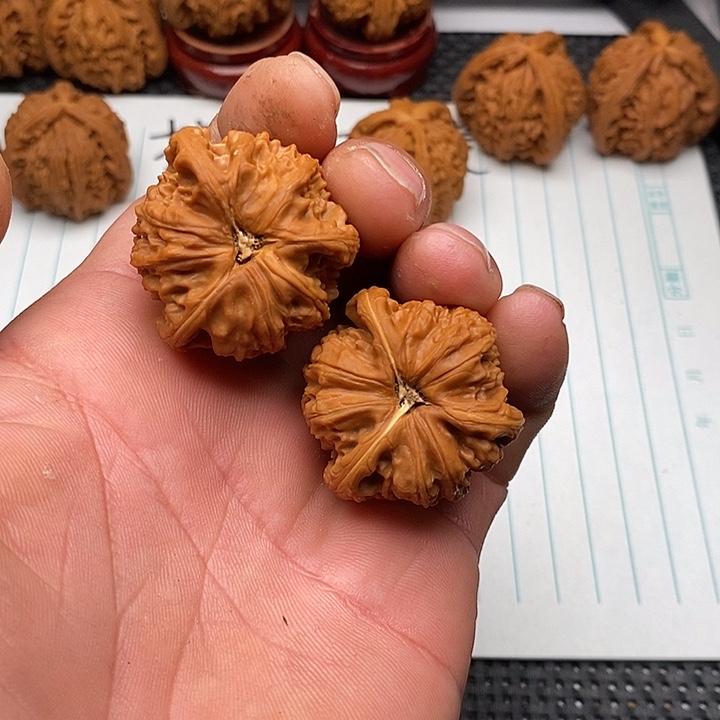 周****核桃手串/手链白狮子11