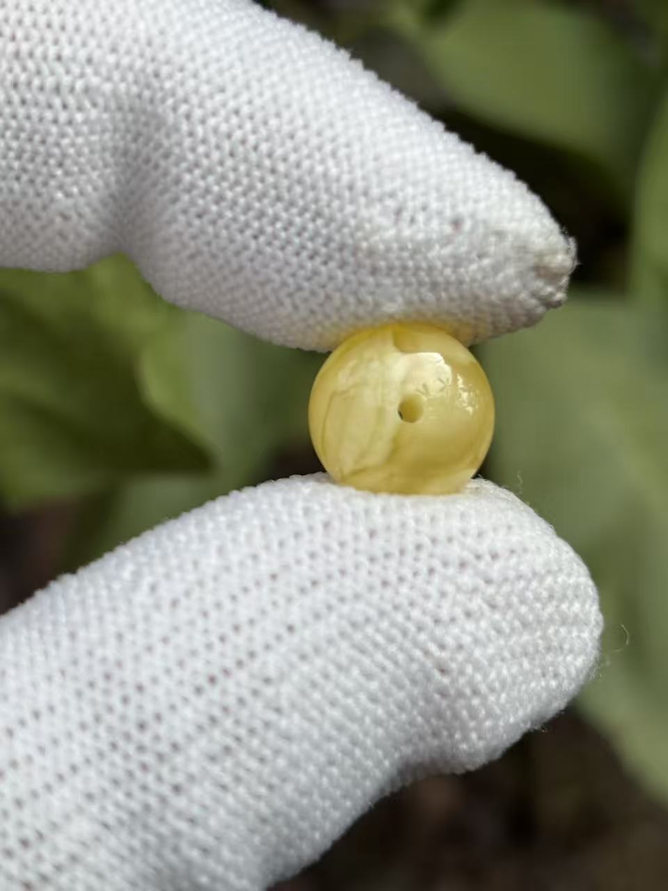 1840天然蜜蜡琥珀小扣子11.2x7mm