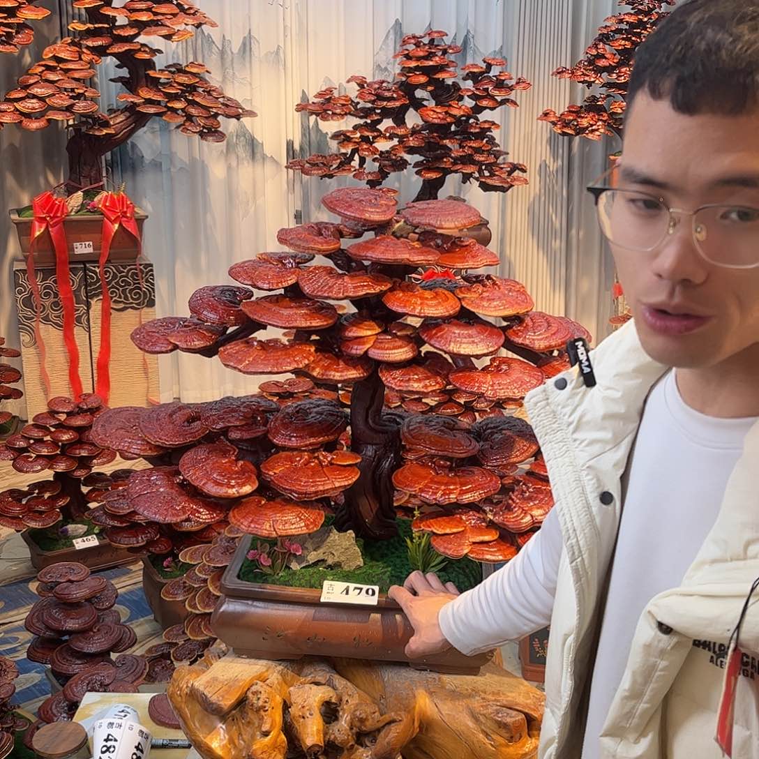 氿***莀无花朵888888888888