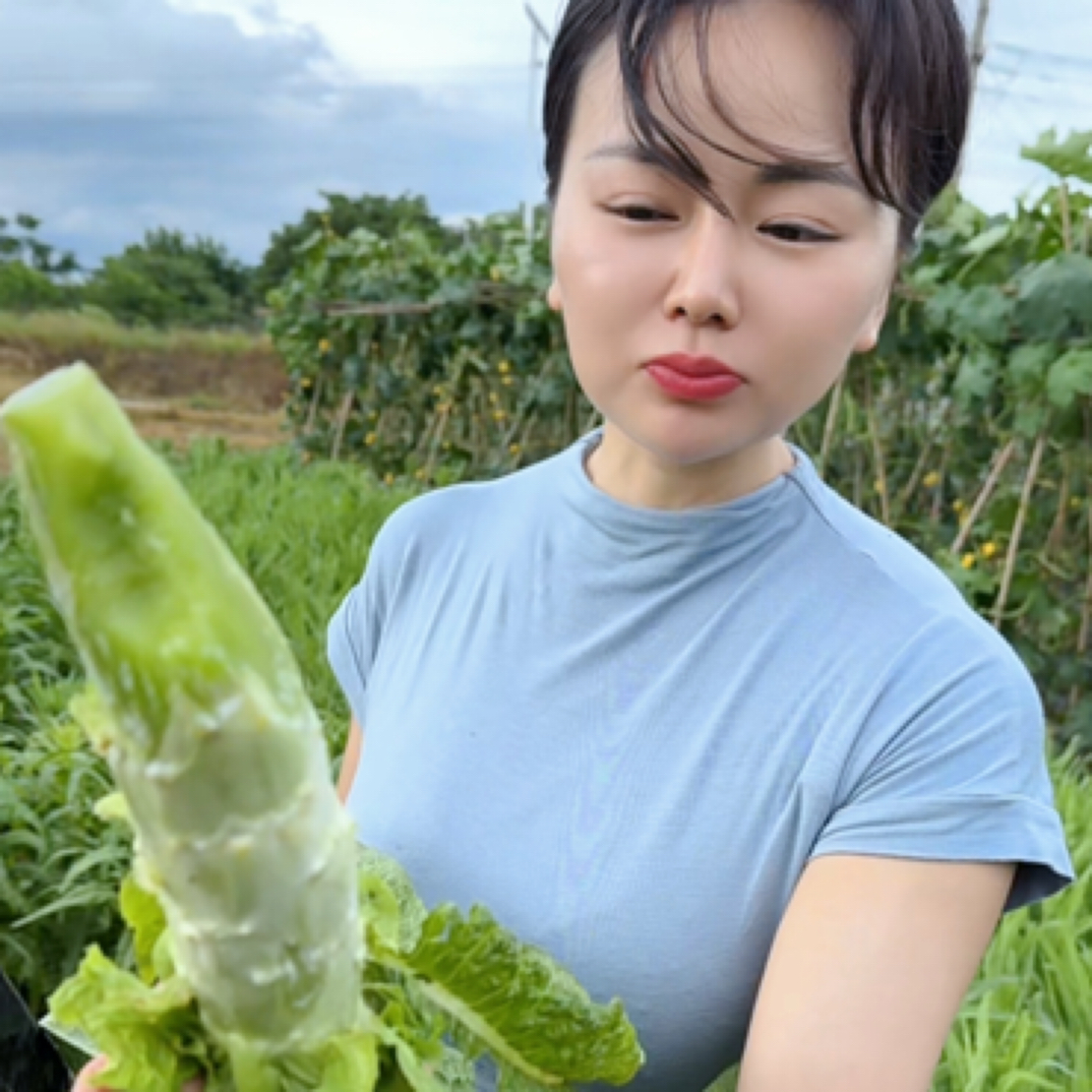 顺丰包邮  溆浦香莴笋青笋新鲜采摘可凉拌可涮火锅的当季蔬菜.