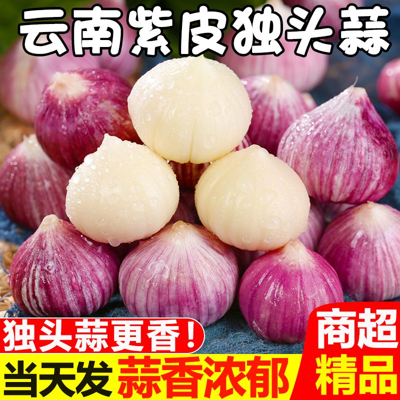 【新店半价】云南紫皮独头蒜新鲜大蒜头蒜头蔬菜0.5/2/3/5斤包邮