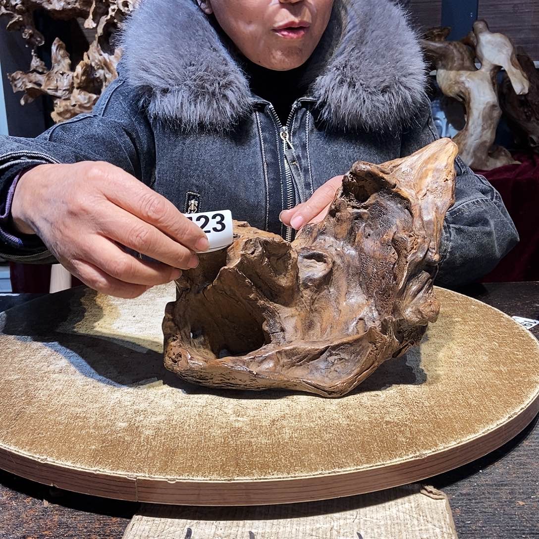 小***晖723。株木随行根艺