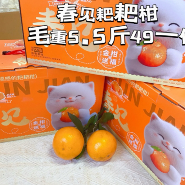 春见耙耙柑礼盒