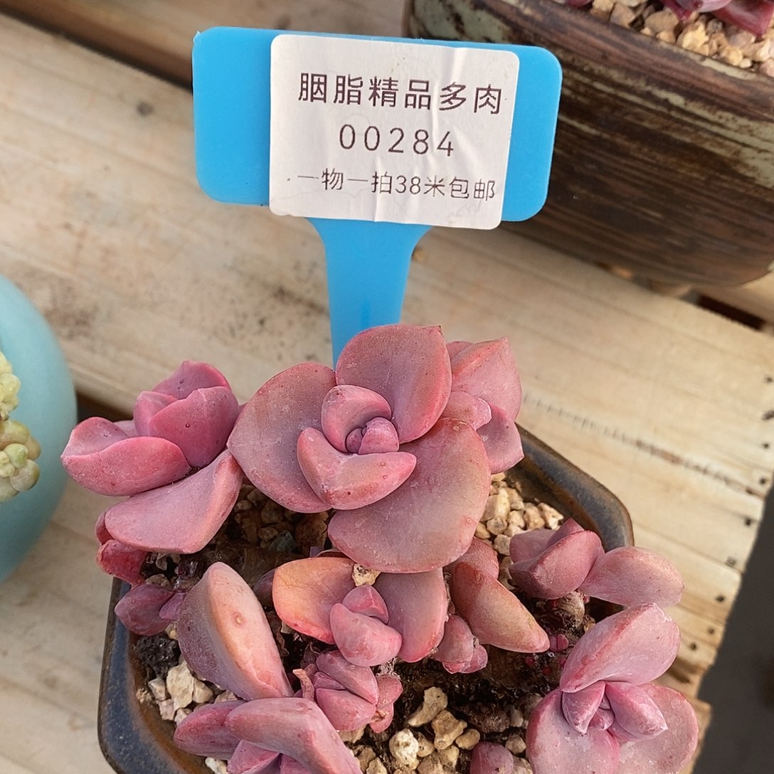 00284奥KTV吗咯哦