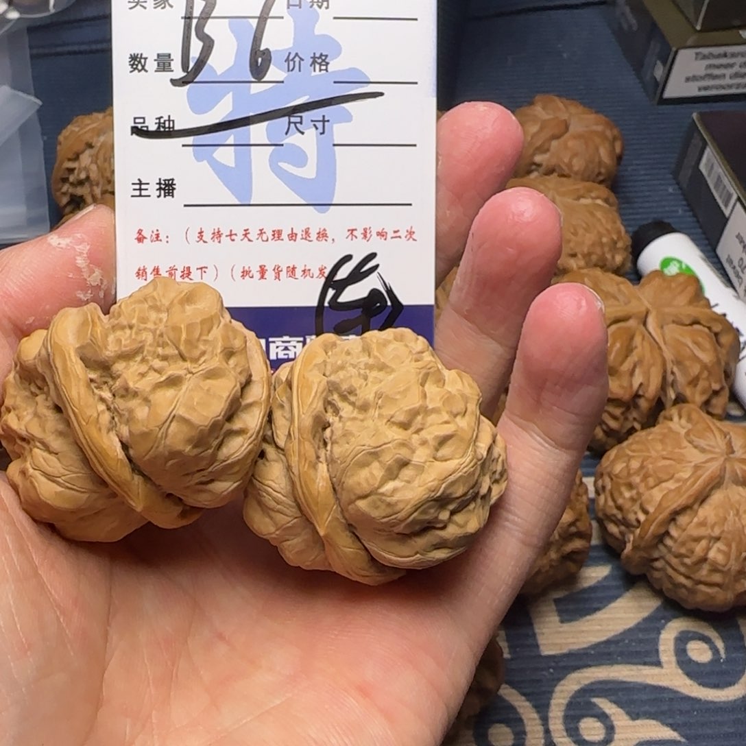 我们的生活也是如此吧我的