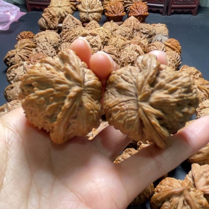 白狮子蛇头42尺寸核桃哈哈哈哈哈哈哈哈