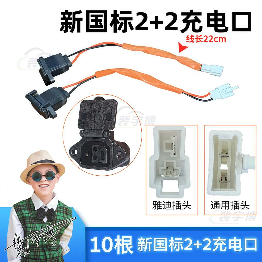 【10根】新国标2+2充电口插座2.5平方带插头