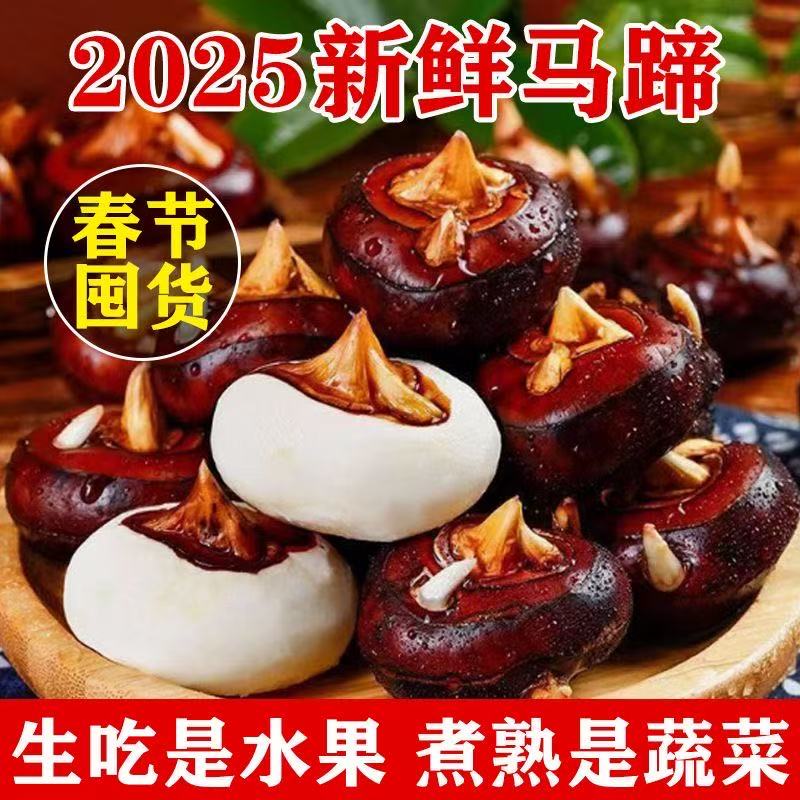 【到手5斤】拍3斤送2斤马蹄送削皮器荸荠地梨微微泥应季果蔬2
