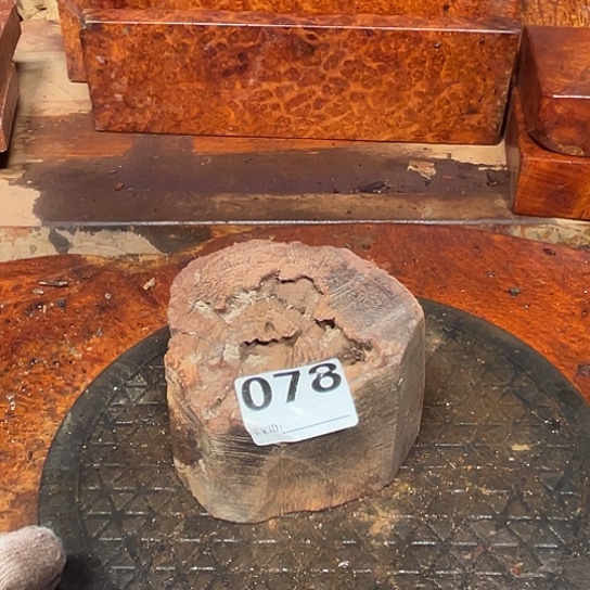 大果紫檀（缅甸花梨）