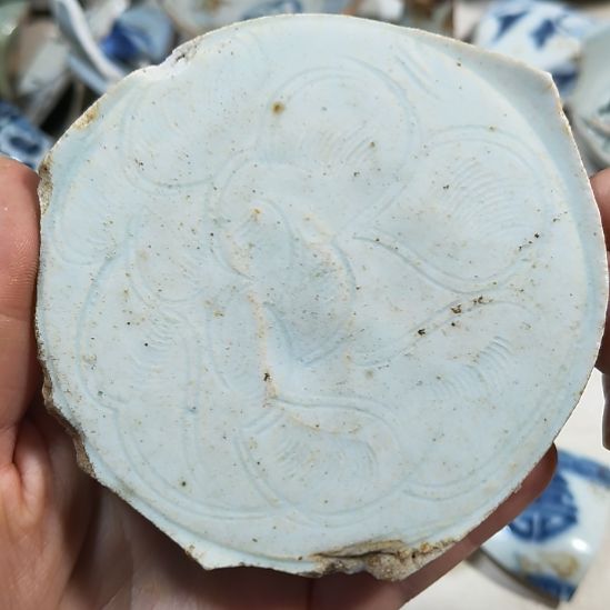 音***乐瓷片瓷片瓷片瓷片瓷片