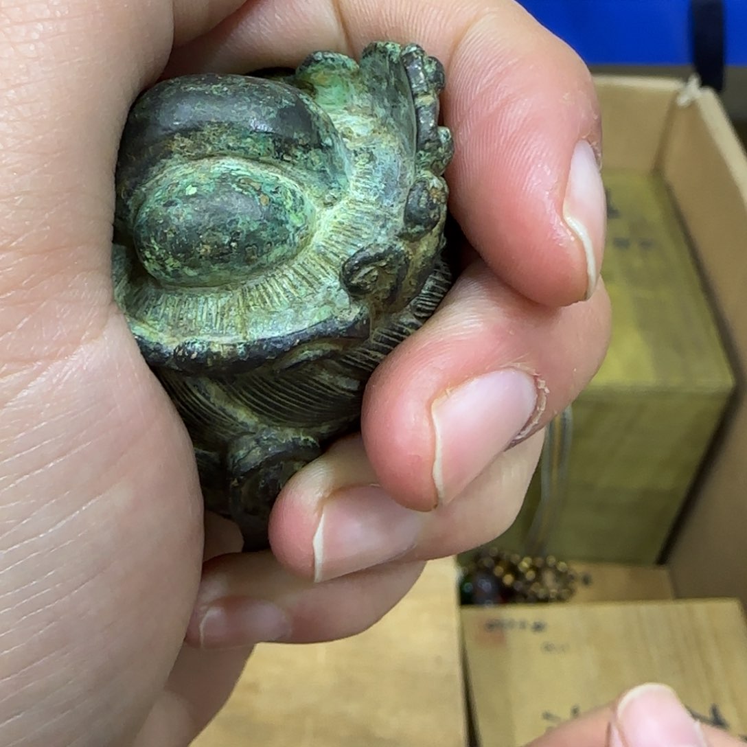 摆件茶宠哈哈哈哈哈哈