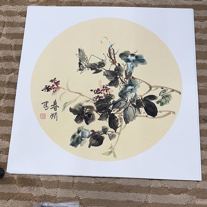 国画花鸟的翅膀和50.50