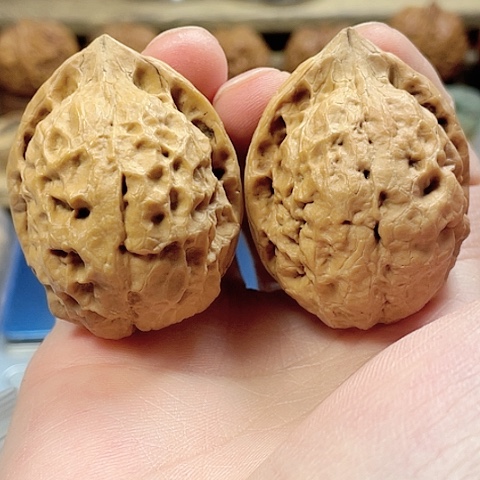 文玩核桃把件圣火令带彩42