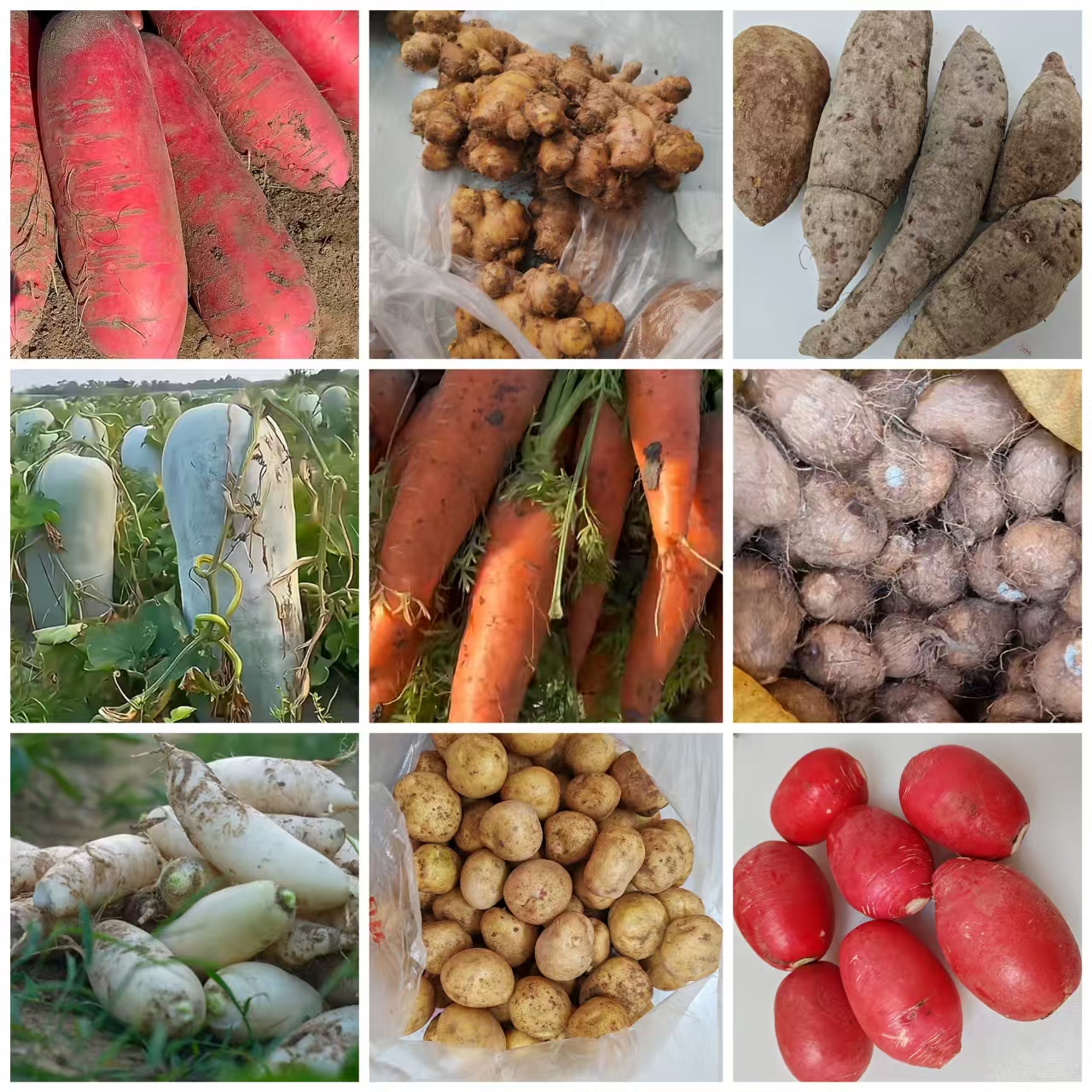 赶集代购新鲜农家瓜果蔬菜及手工特产