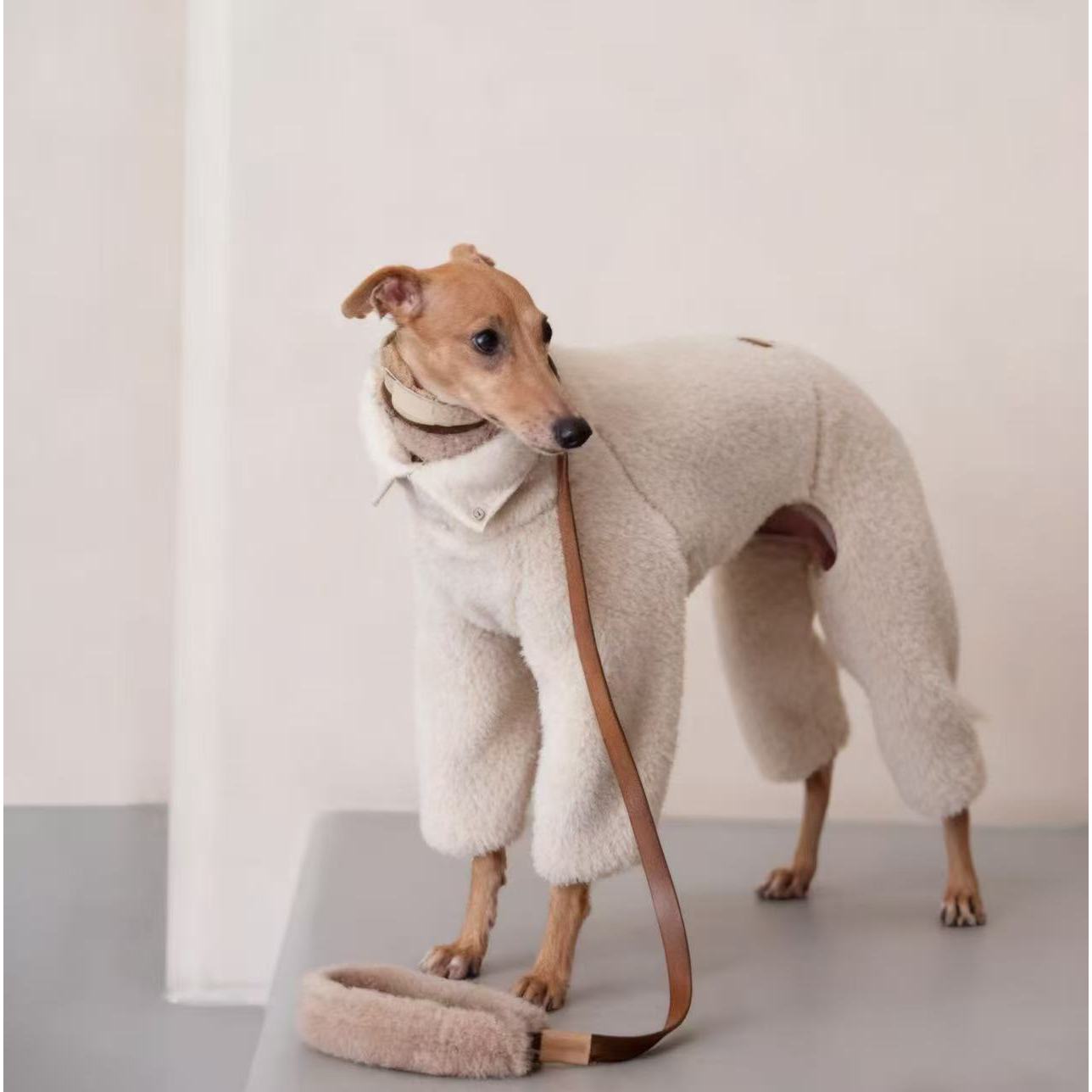 冬季高领惠比特衣服意大利小灵缇衣服格力犬贝林顿狗外出棉衣洋气