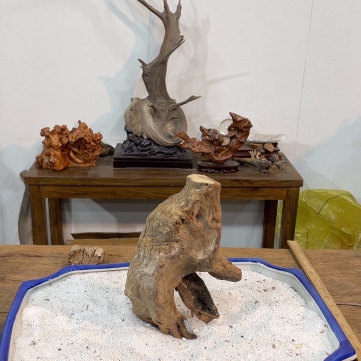 把***风我们都是好孩子呀