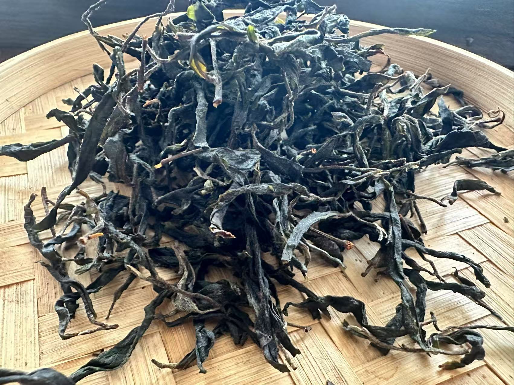 董韵茶香2025年二嘎子88斤单株