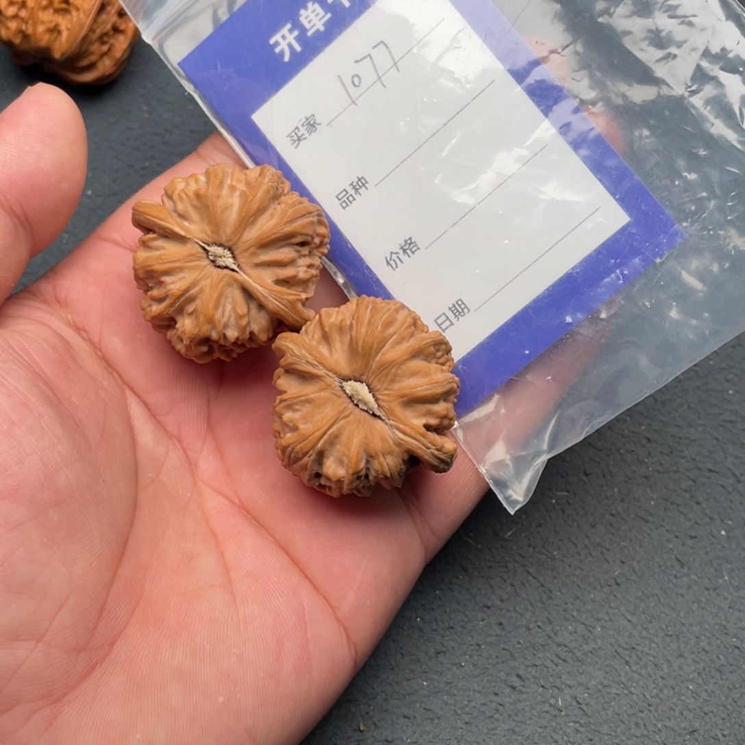 核桃把件39白狮子，1077号