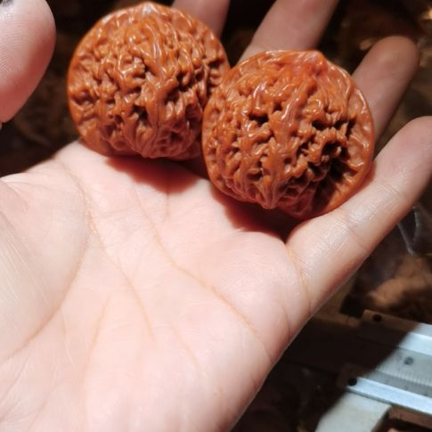 猴头核桃吊坠40闷尖