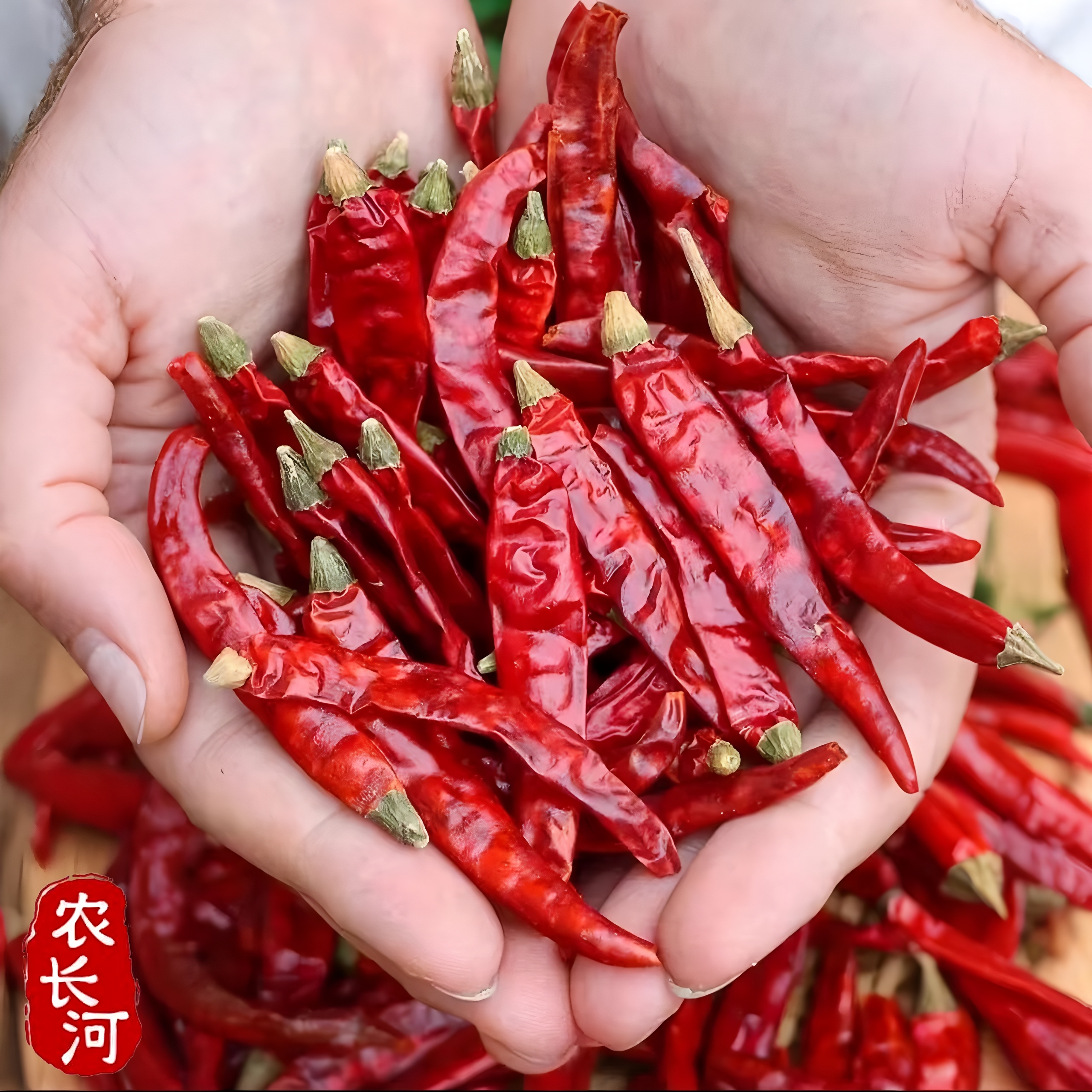 （特辣！）魔鬼椒自然晾晒保证干度（新店开业买就送高档保鲜储存罐）