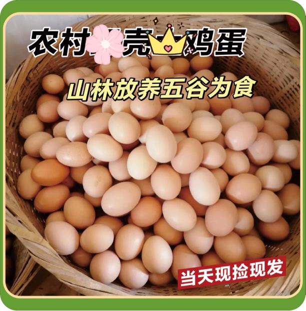 贵州农家散养玉米鸡蛋，粉壳10枚装，五谷喂养，现捡现发