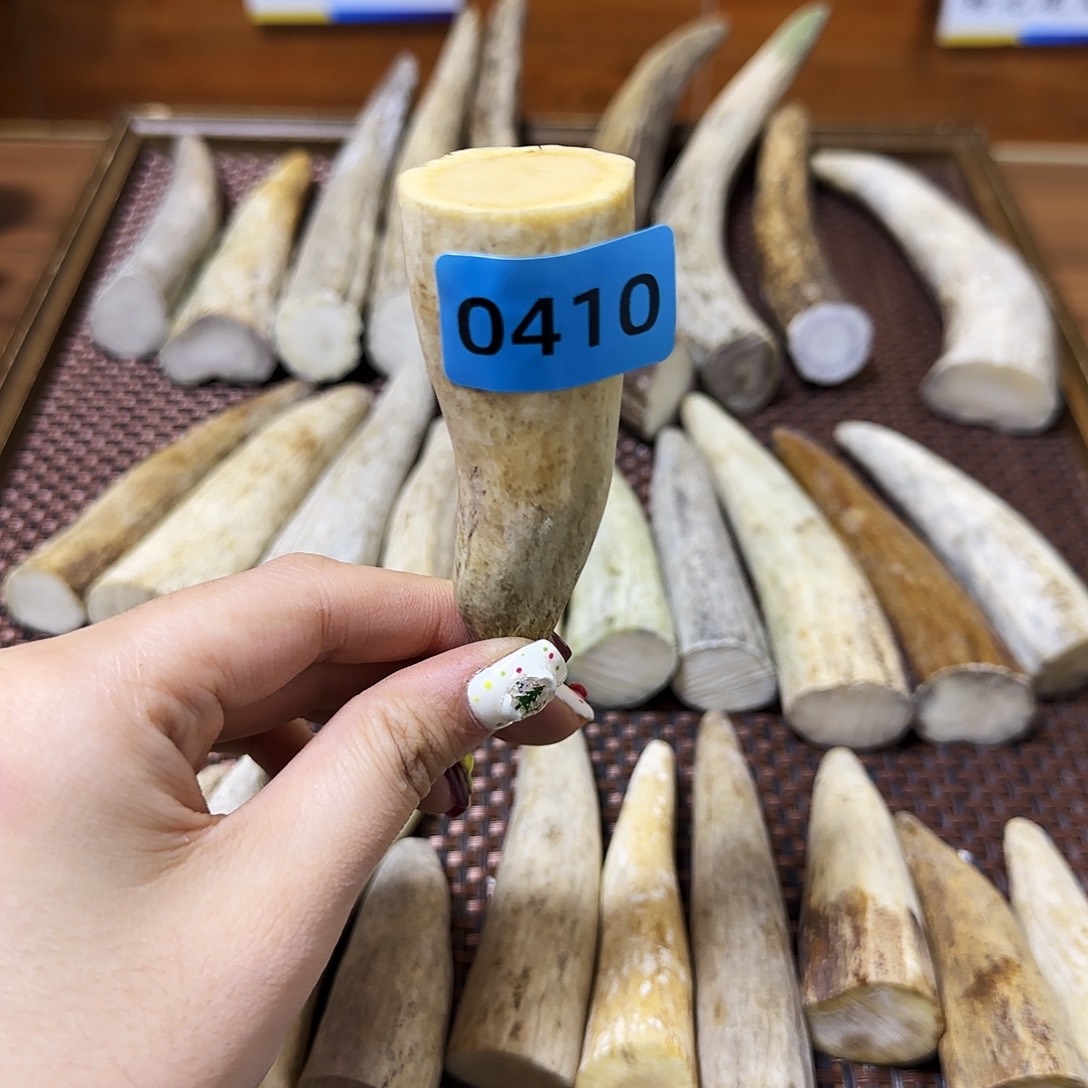 手串/手链鹿骨角尖0410