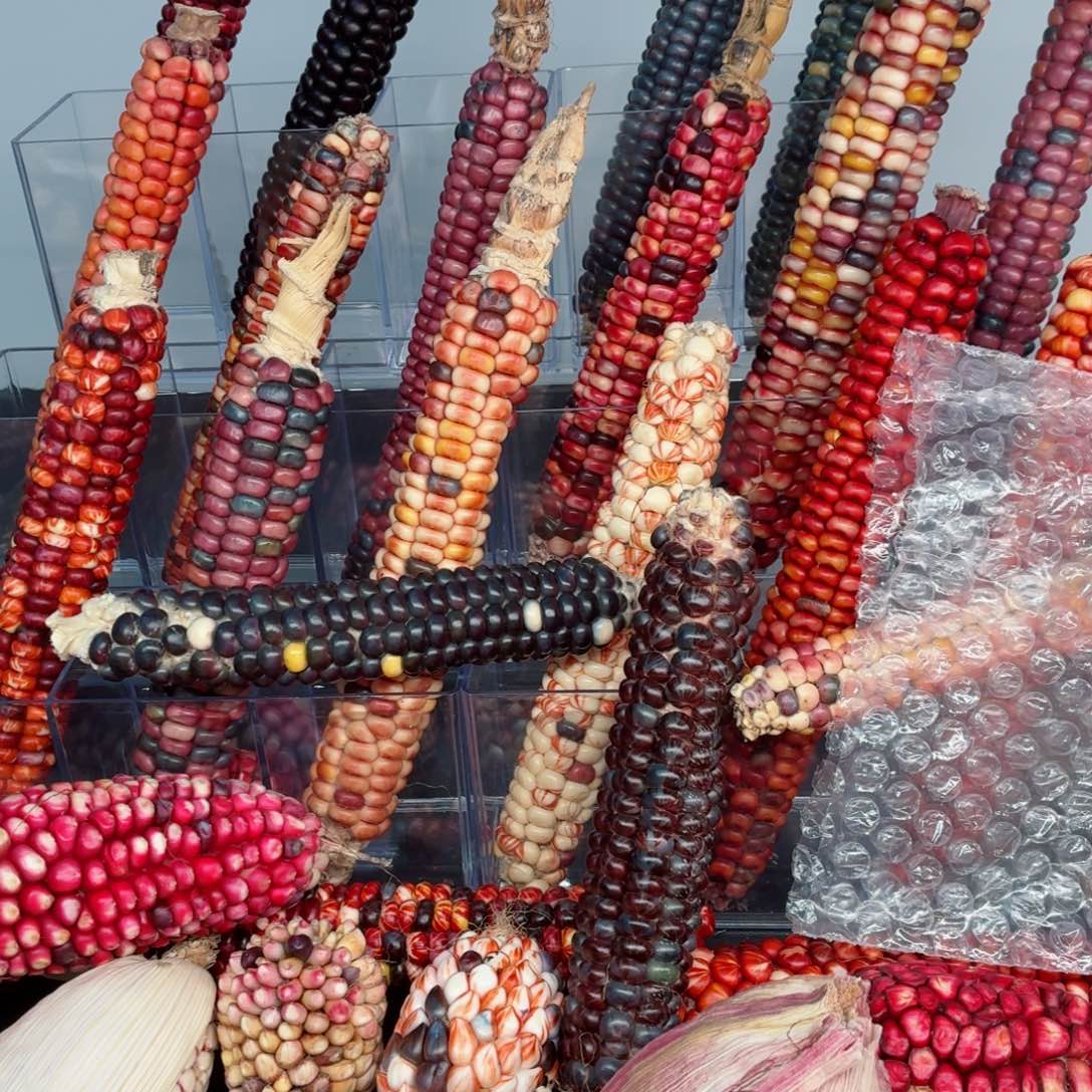 雅***娜白玉菩提吊坠文玩精品文玩精品