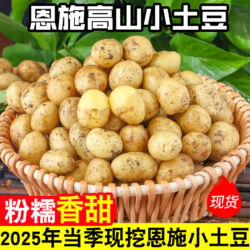 网红恩施黄心小土豆呀新鲜现挖3/5/9斤迷你马铃薯洋芋[粉糯香甜]