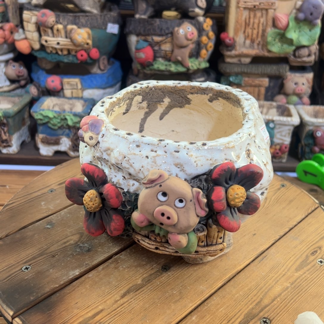 红陶嘻哈多肉花盆