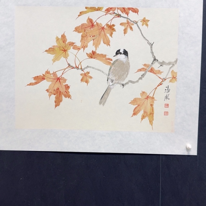 国画我现在还在家看