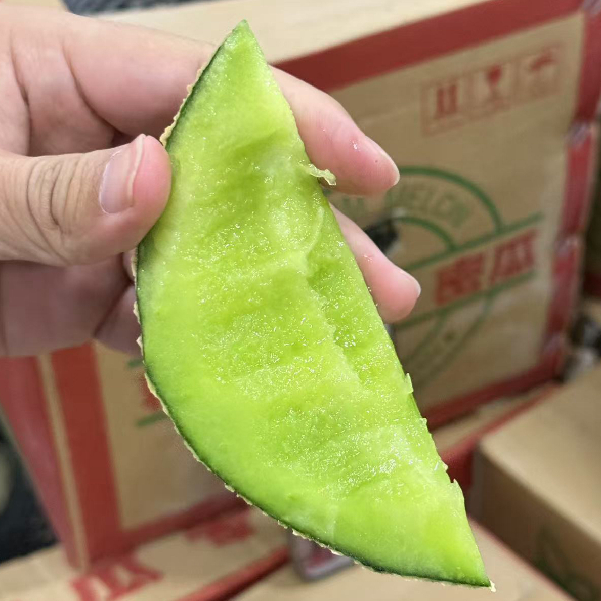 冰淇淋网纹瓜超甜一个