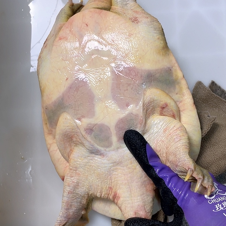 无***风中国大陆福利鱼瑕疵不退换