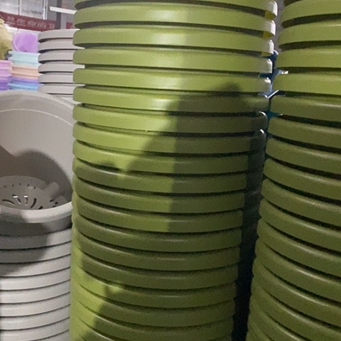 树脂四季5号果绿无托6个