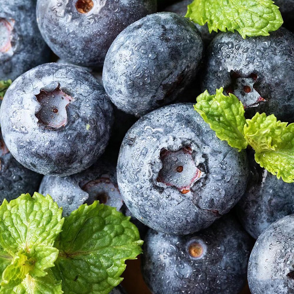 【遇见阳光】进口秘鲁蓝莓3斤原箱满满花青素脆甜可口没有酸味顺丰次日达新鲜应季当季水果现摘现发14mm