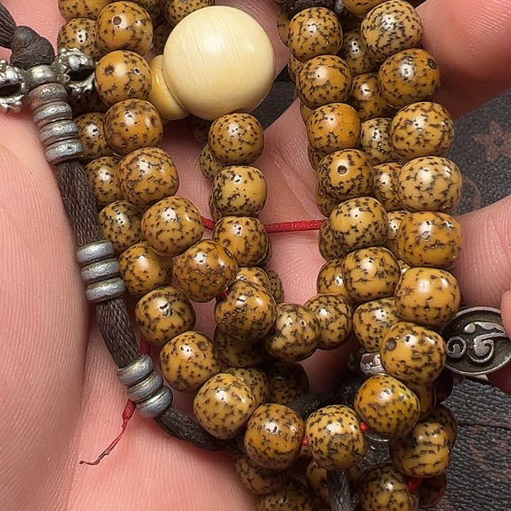 我们都是在这里看到的哈