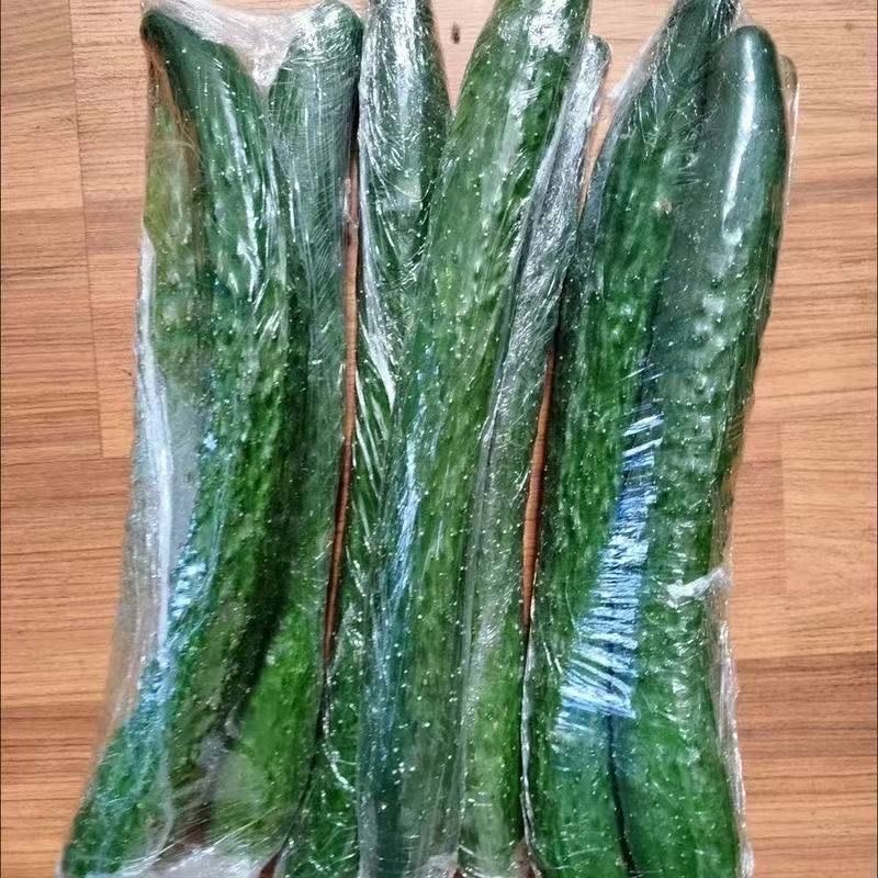 河南新鲜黄瓜青瓜长黄瓜薄皮清脆爽口可生吃