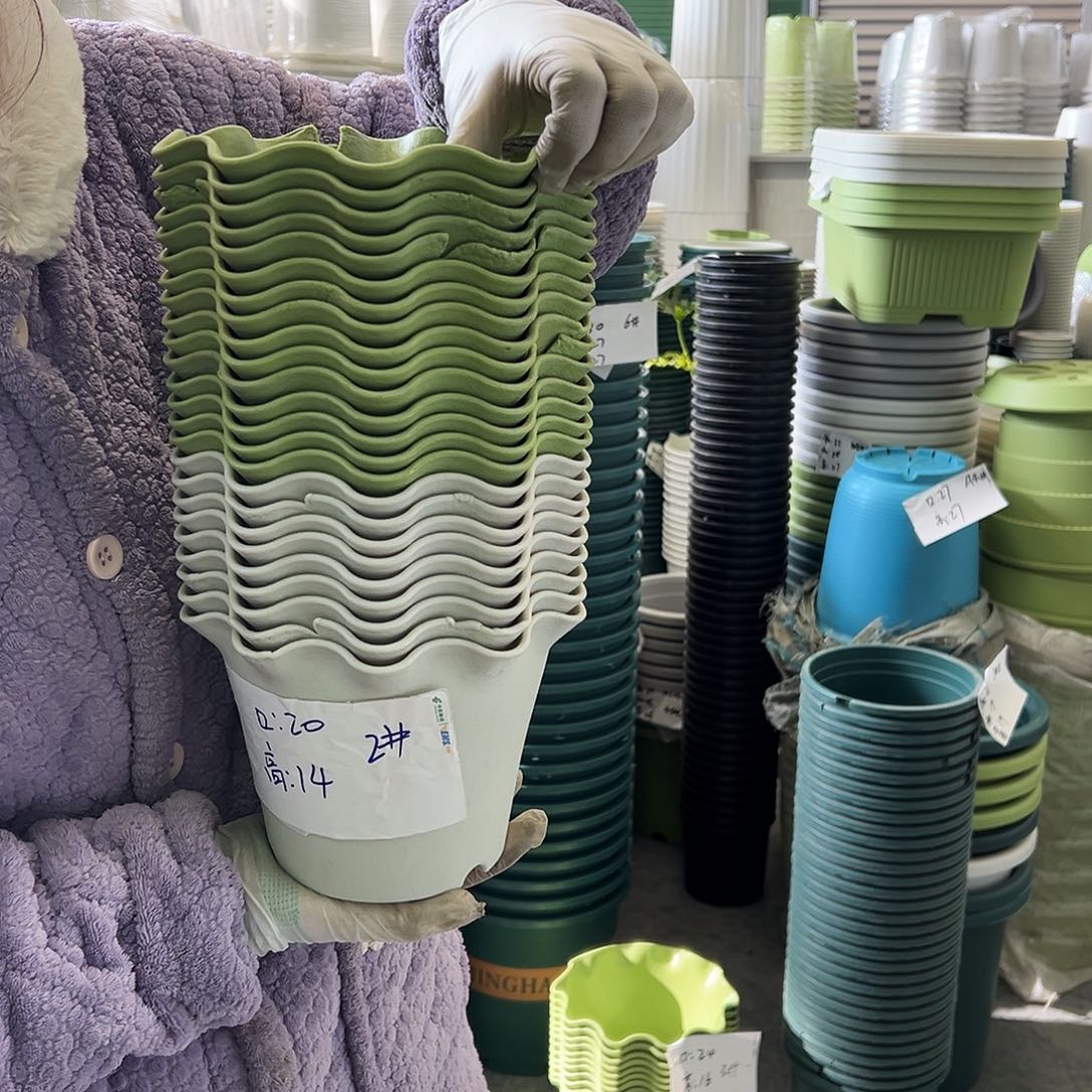 瑕疵荷叶盆2#米白10个无托