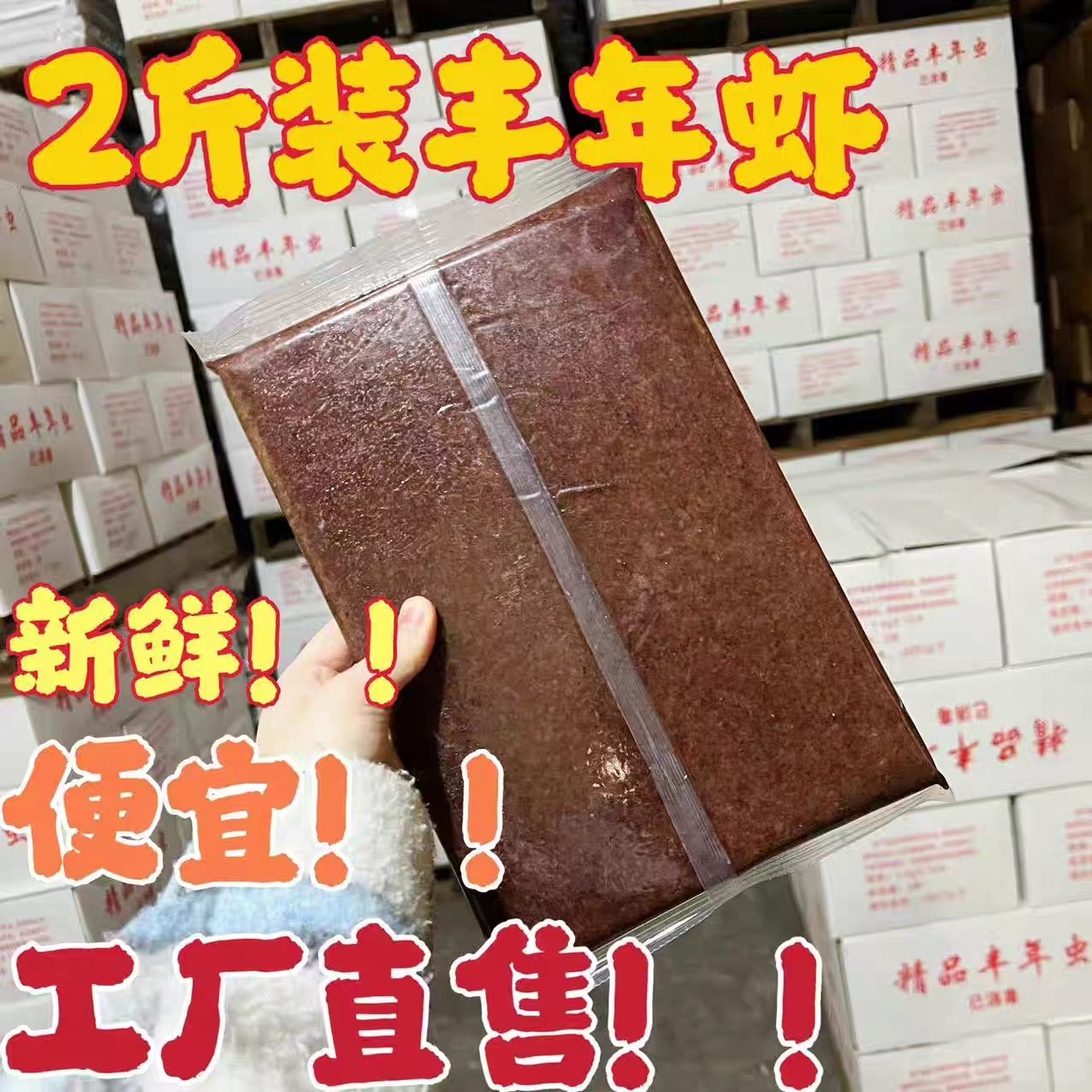冰冻野生丰年虾高蛋白观赏鱼活体饲料新鲜营养