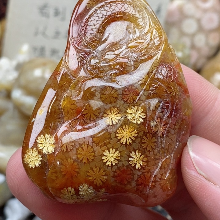 颈饰未镶嵌硅化珊瑚（珊瑚玉）