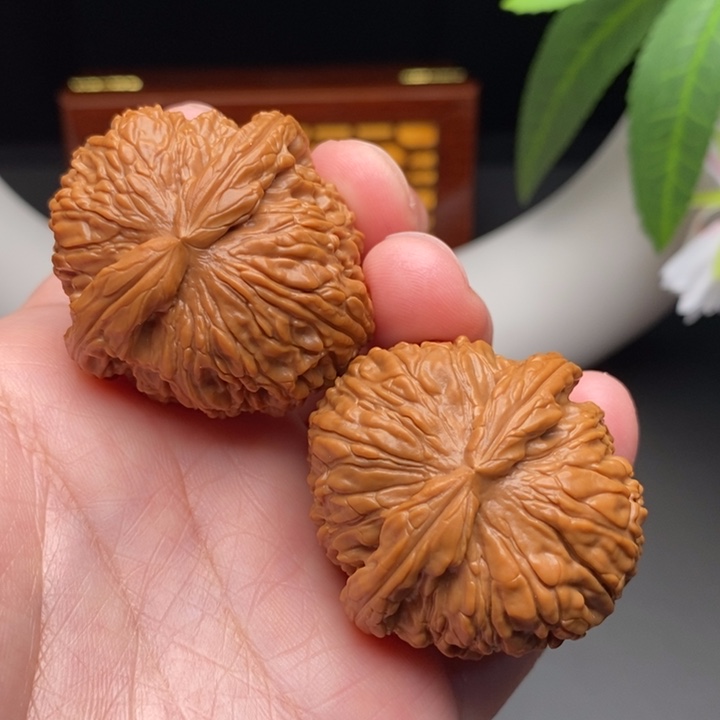 文玩核桃把件白狮子40