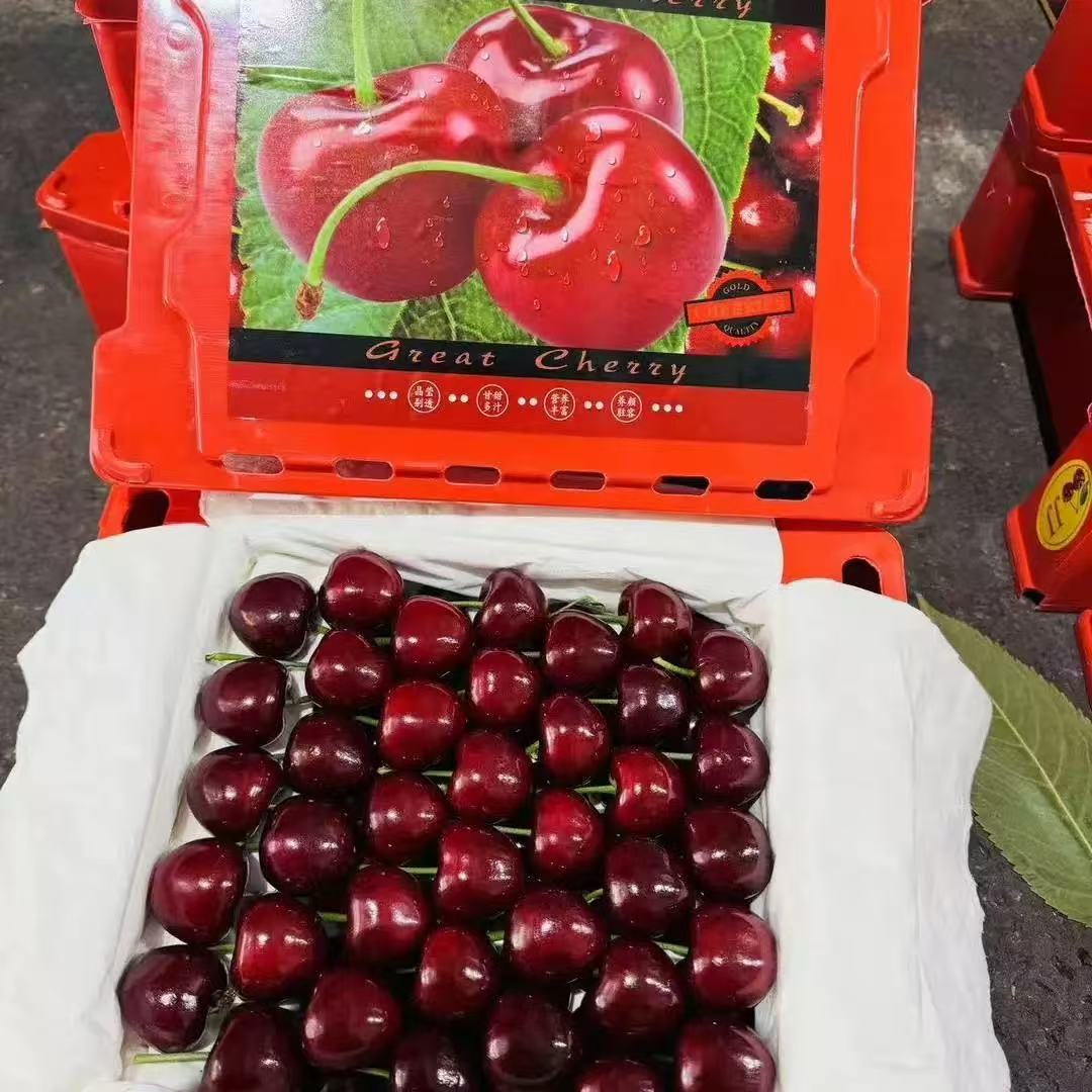 【全国八省】整箱4J 大连美早樱桃 空运 一箱净重1.5斤往上