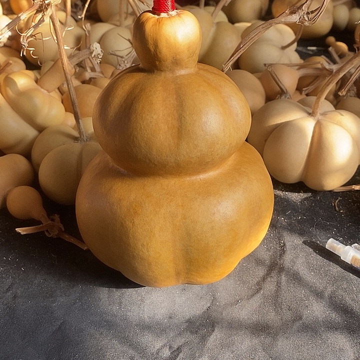 洋****葫芦的颜色很好看