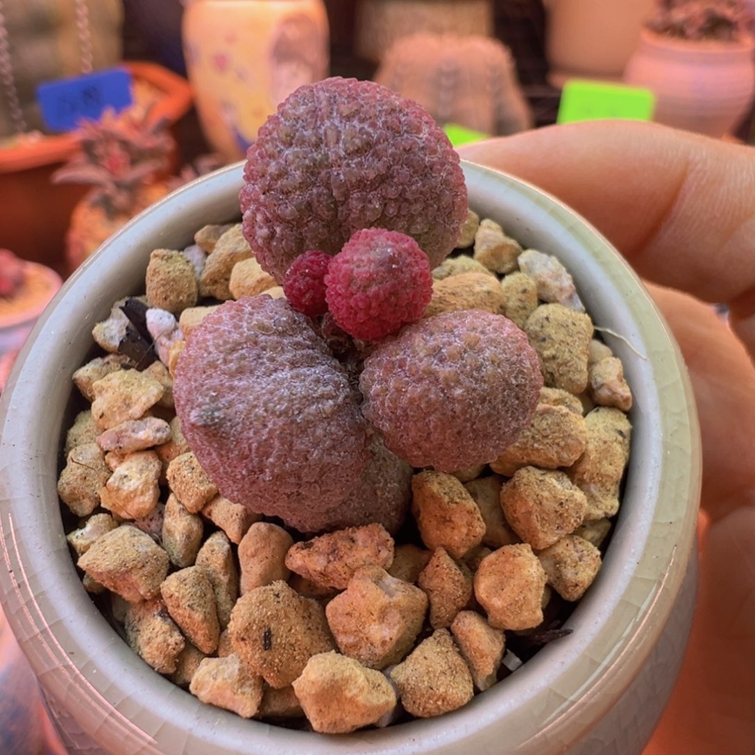 愛***屋好吧好嘛好吧你不