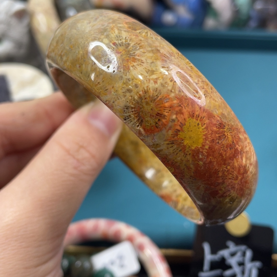 未镶嵌手镯硅化玉