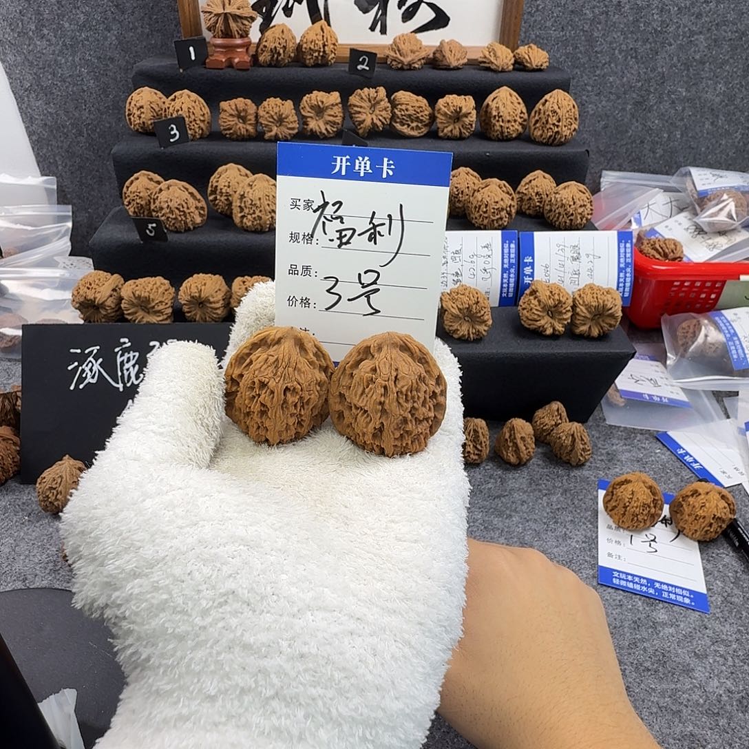 核桃福利3号 40尺