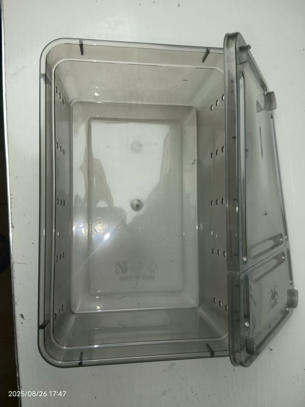 黑色爬虫饲养盒 拍一发三