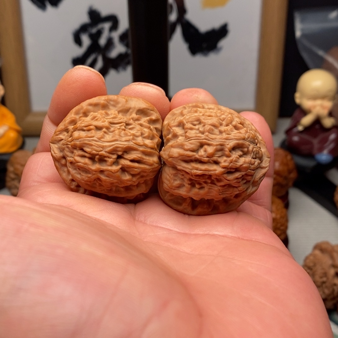 文玩核桃把件36尺白狮子