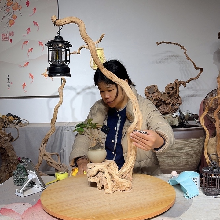 青***鸟杜鹃根艺术中心根