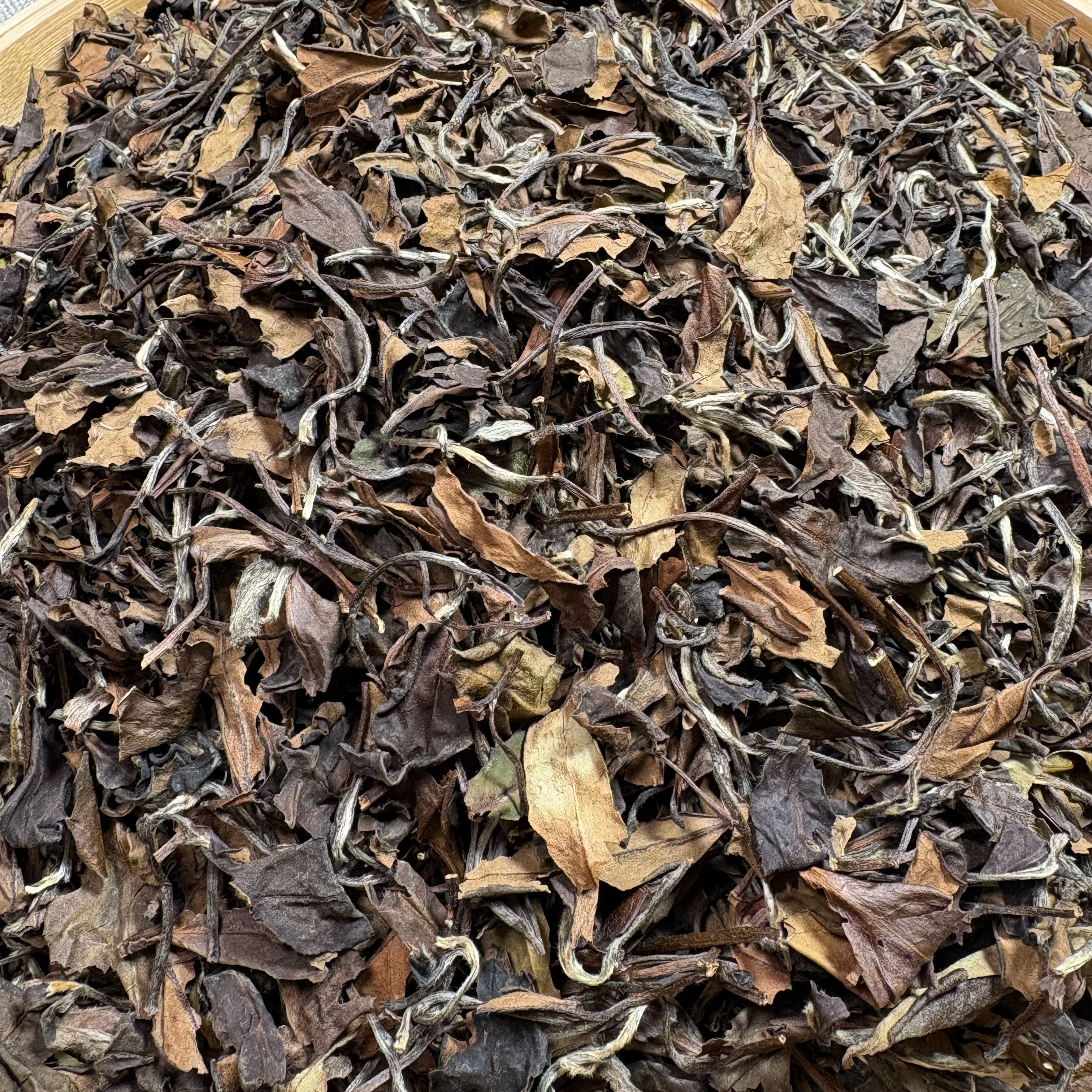 2015日晒老白茶，枣香冰糖甜！