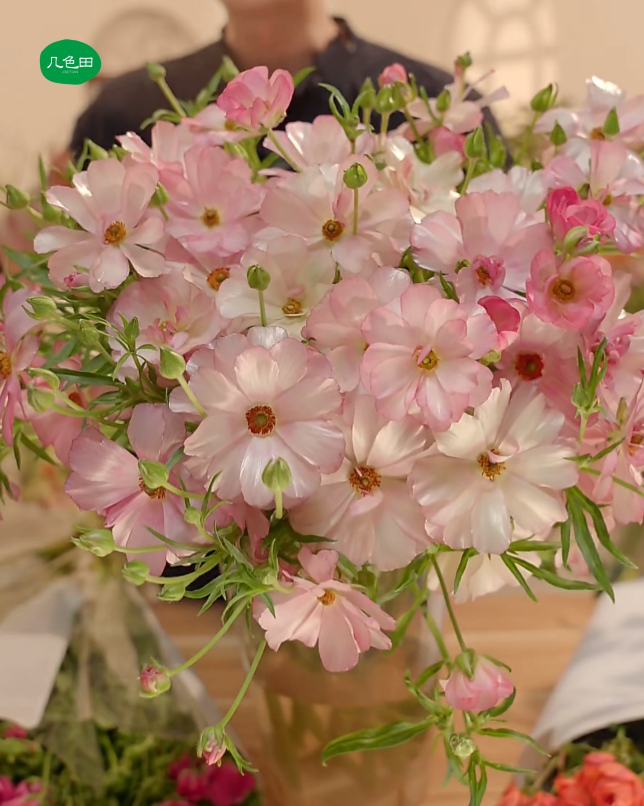 炫彩变色龙 蝴蝶洋牡丹（注意：会变色，实物以直播间展示为准哦！）